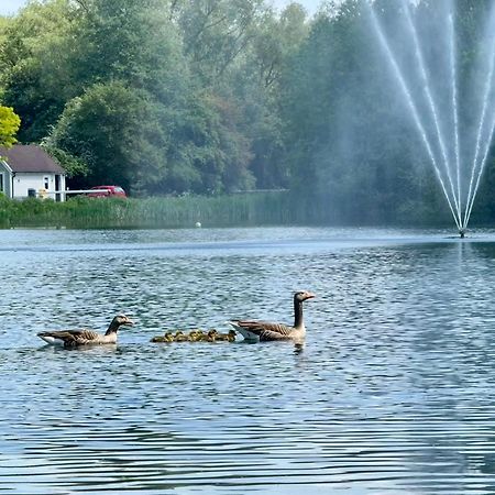 Luxury Kingfisher Lodge, Isis Lake, Within The Cotswold Waterpark سيرنسيستر المظهر الخارجي الصورة