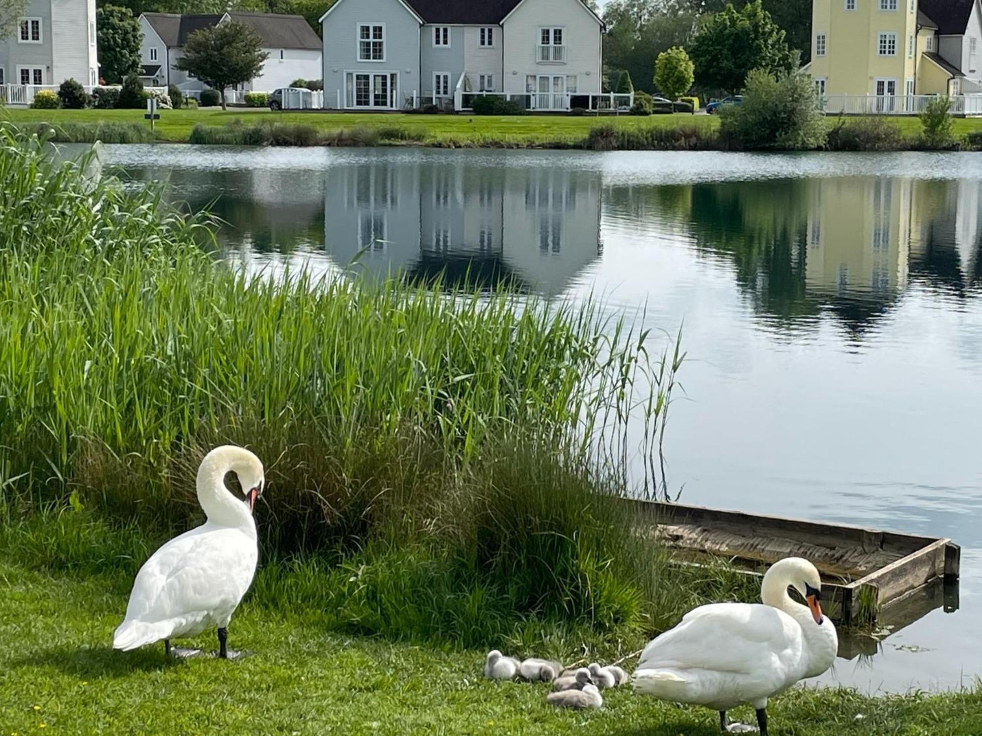 Luxury Kingfisher Lodge, Isis Lake, Within The Cotswold Waterpark سيرنسيستر المظهر الخارجي الصورة