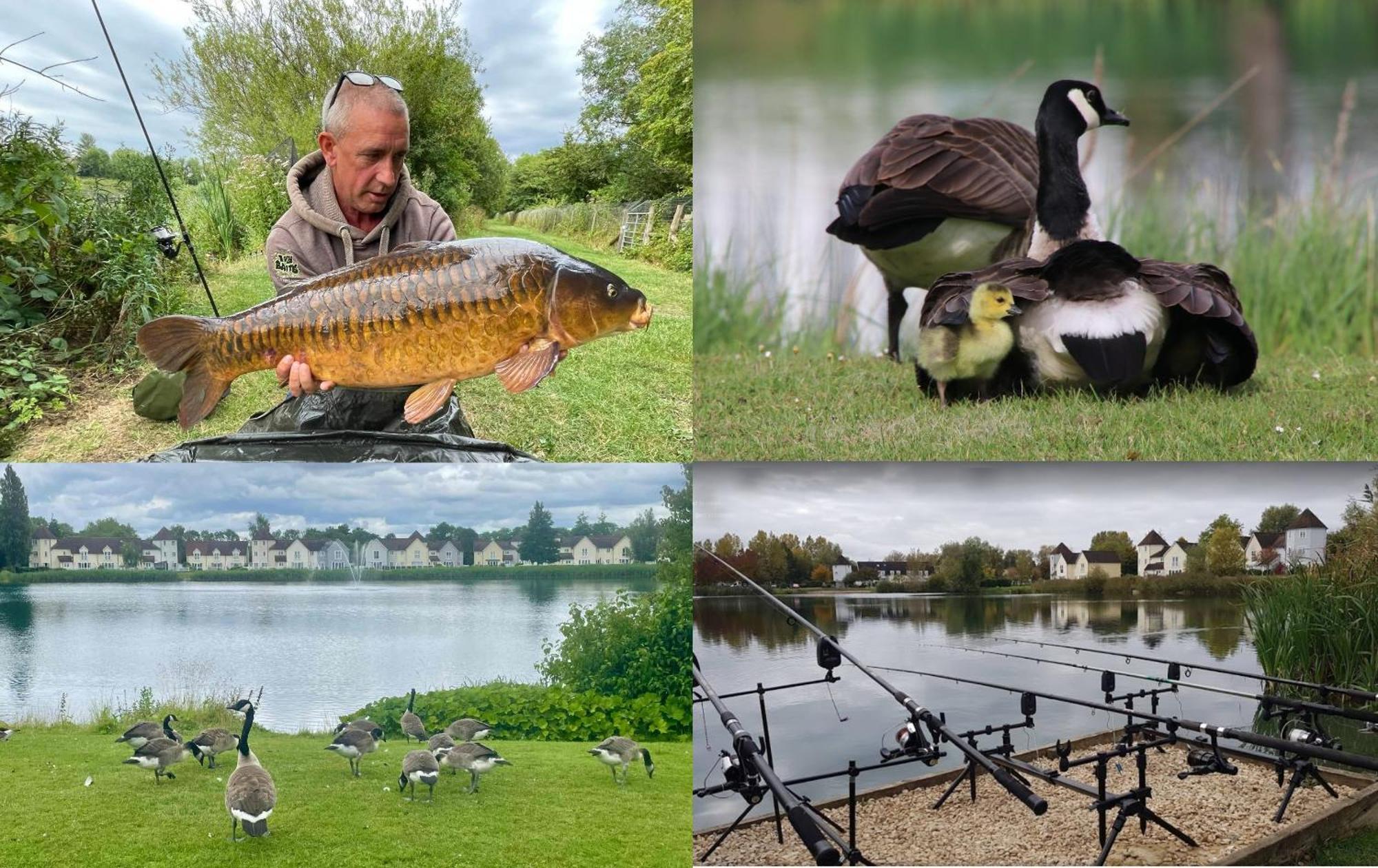 Luxury Kingfisher Lodge, Isis Lake, Within The Cotswold Waterpark سيرنسيستر المظهر الخارجي الصورة