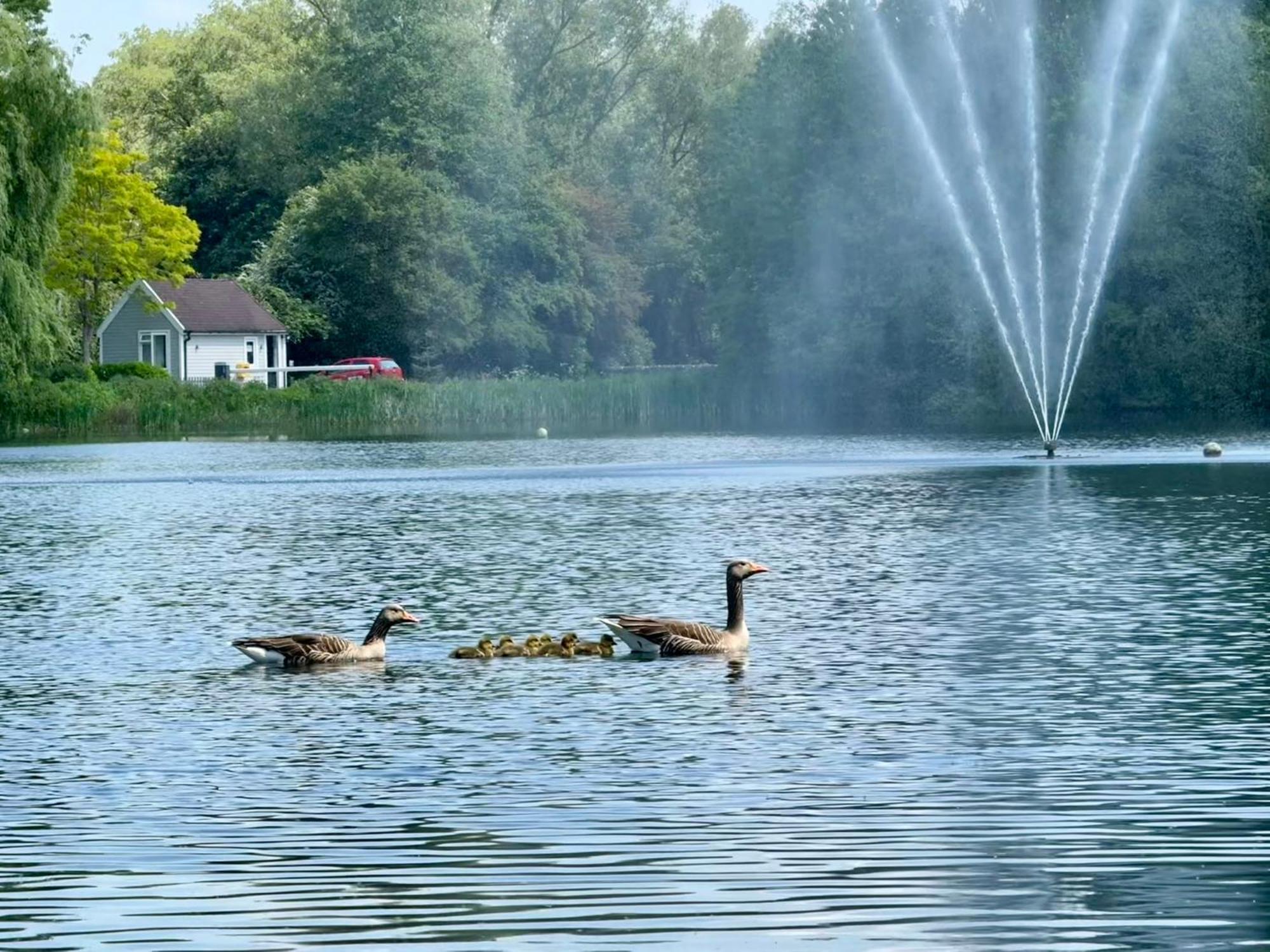 Luxury Kingfisher Lodge, Isis Lake, Within The Cotswold Waterpark سيرنسيستر المظهر الخارجي الصورة